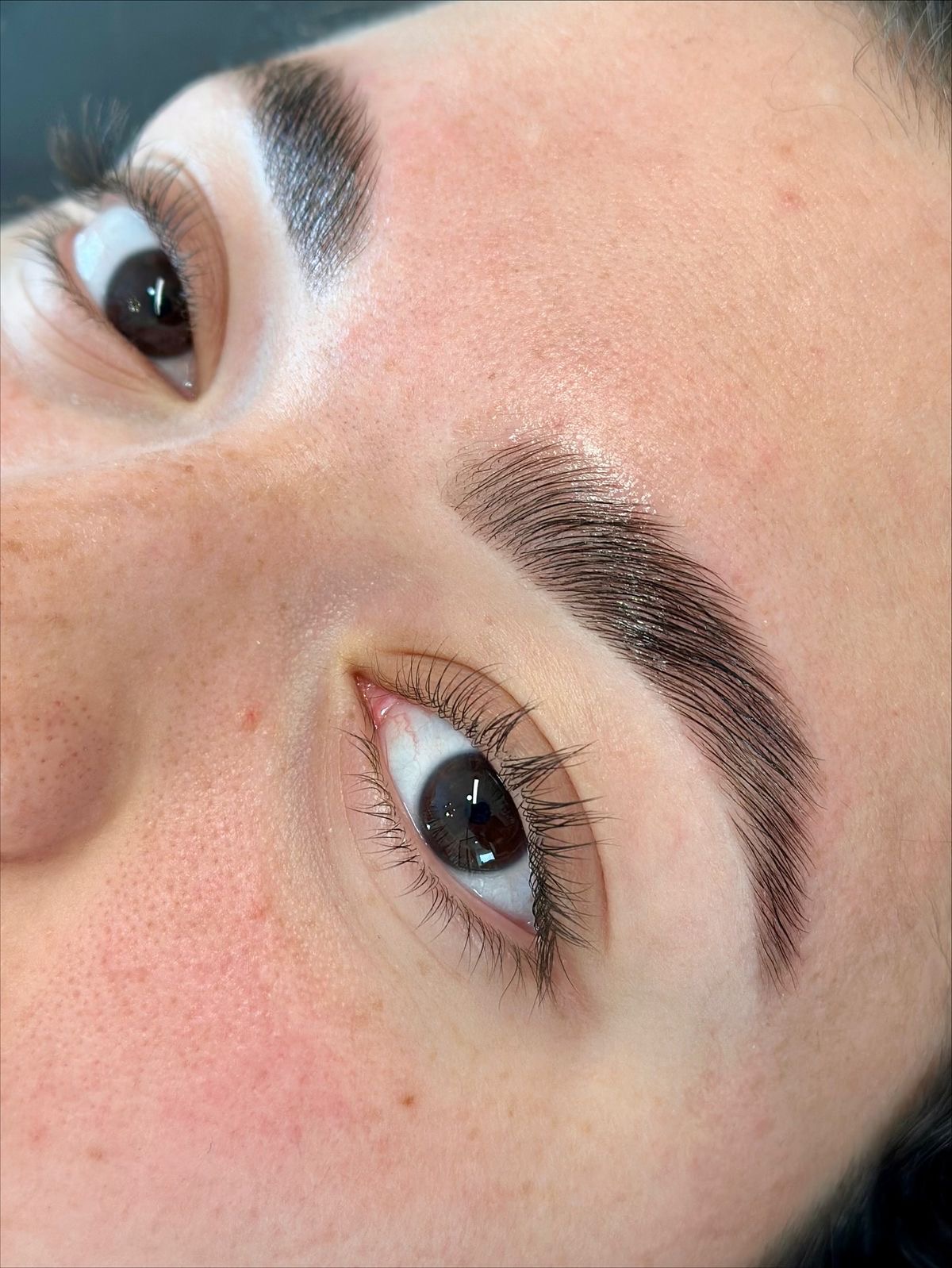 Laminado de cejas
