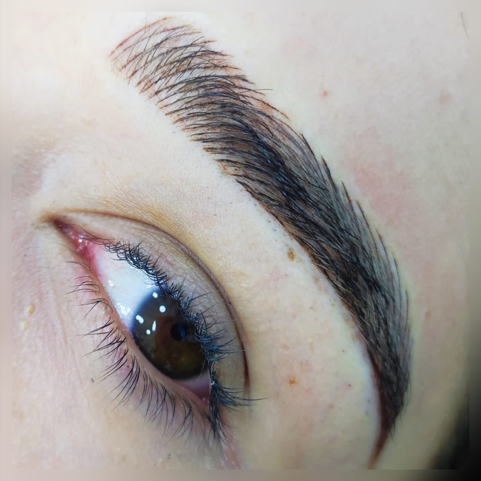 Cejas pelo a pelo